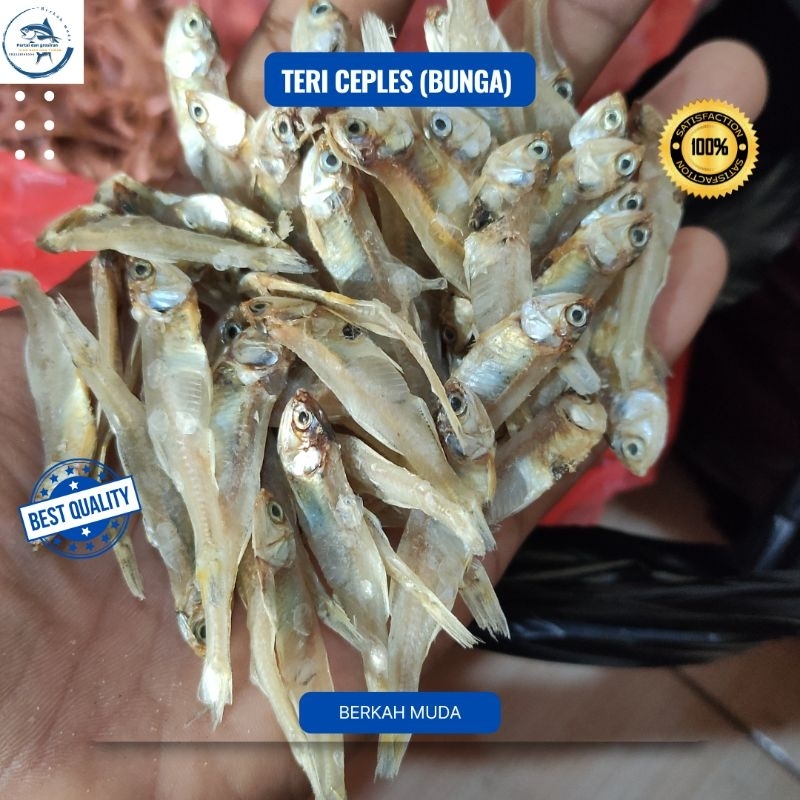 

Ikan teri bunga / Teri ceples