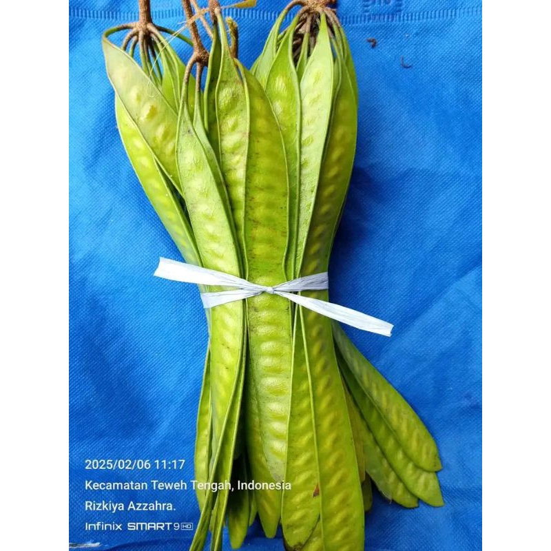 

pete cina/lantoro 4 ikat freshh tinggal ambil