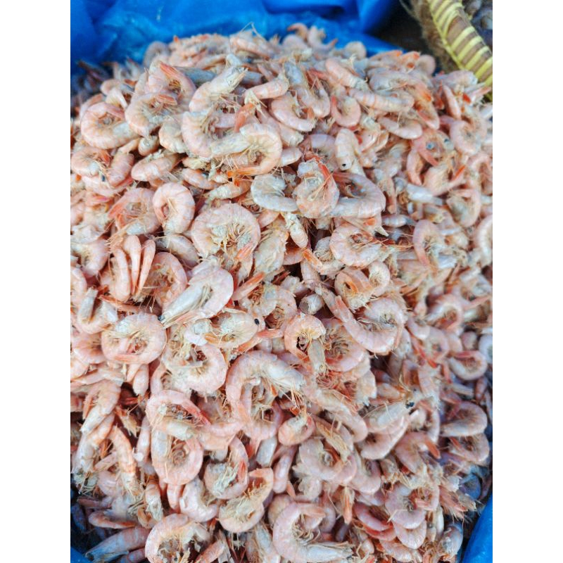 

Udang Asin