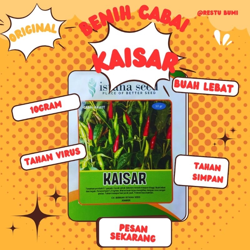 

Cabai Rawit Kaisar
