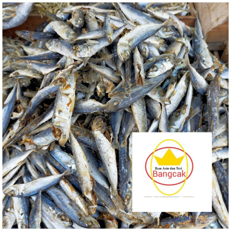 

Ikan Asin Rebus/Sarden 500 gr, 1000gr dan 2000gr Eceran dan Grosir , Murah berkualitas