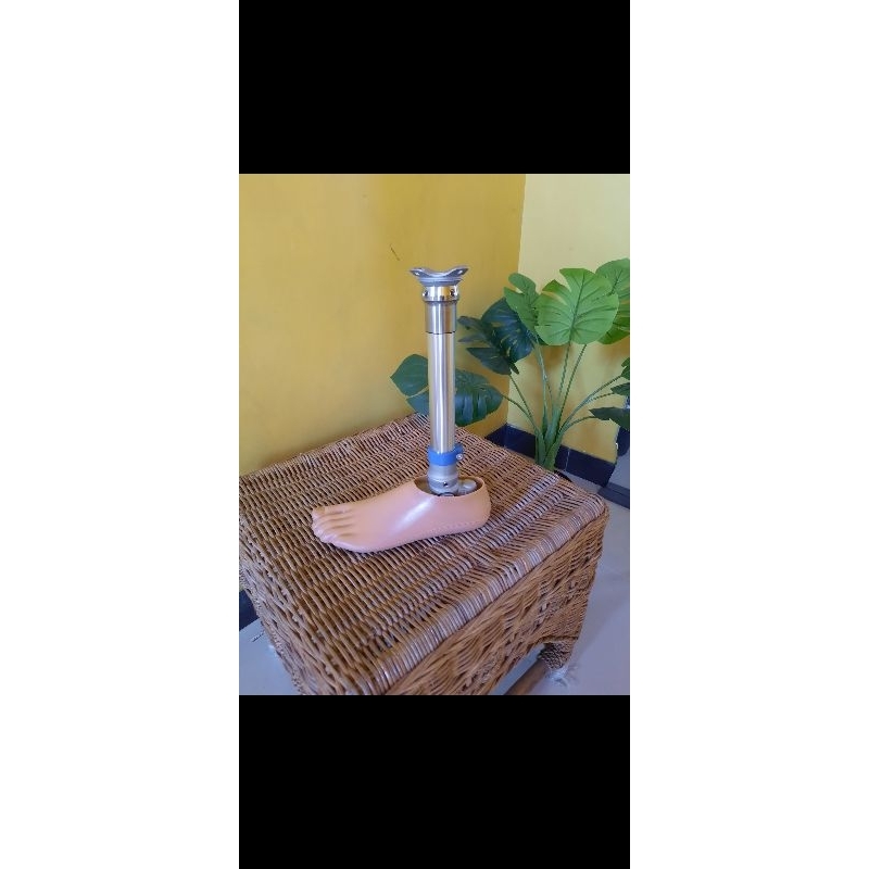 paket 1 set komponen kaki palsu bawah lutut import