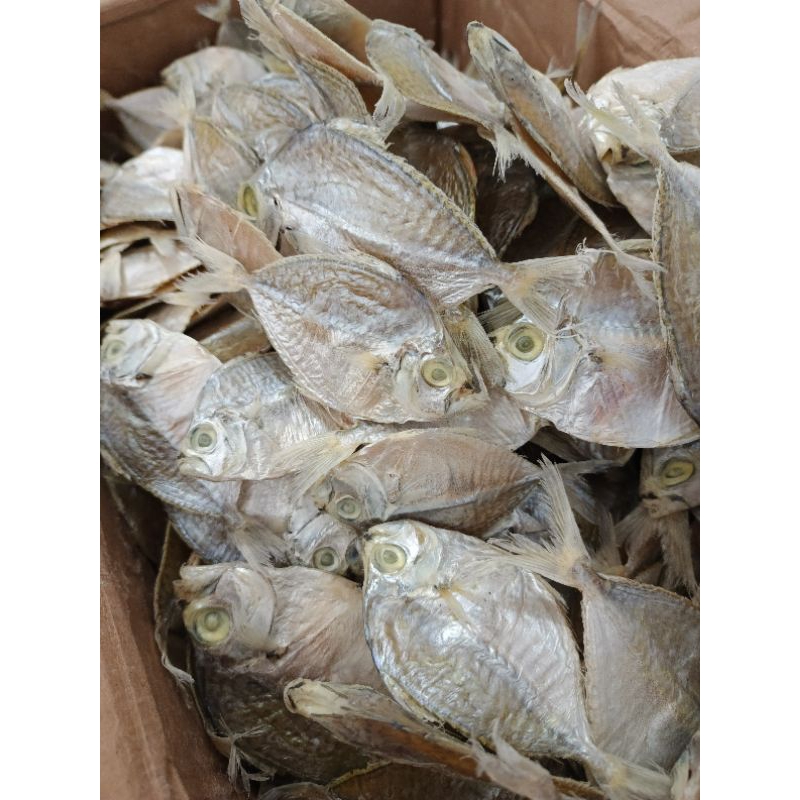 

Ikan Kekek Ikan Petek