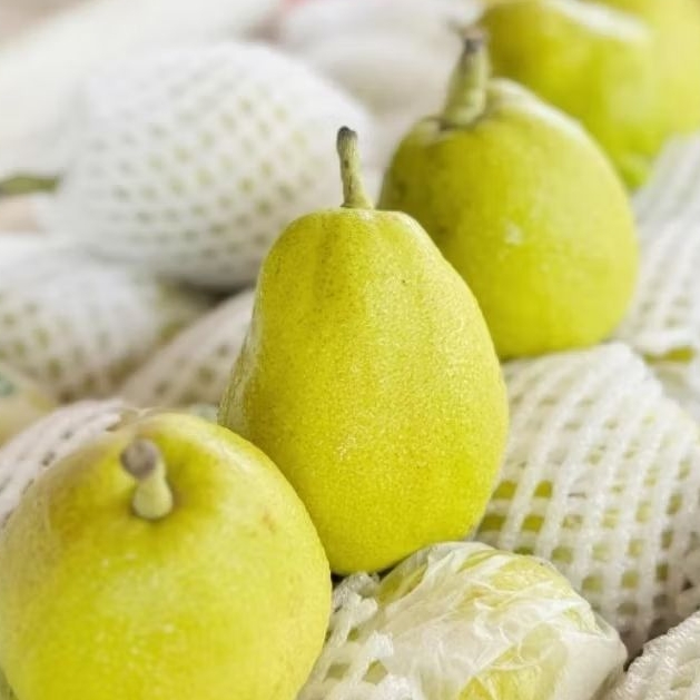 

PEAR XIANG LIE 530-550 GR