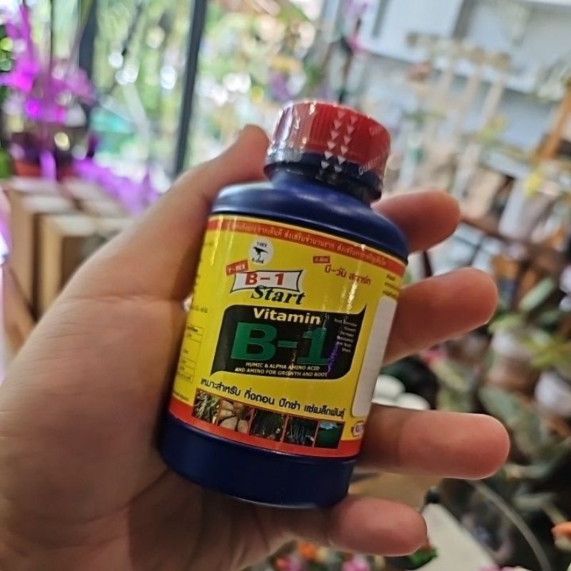 B-1 Vitamin Tanaman