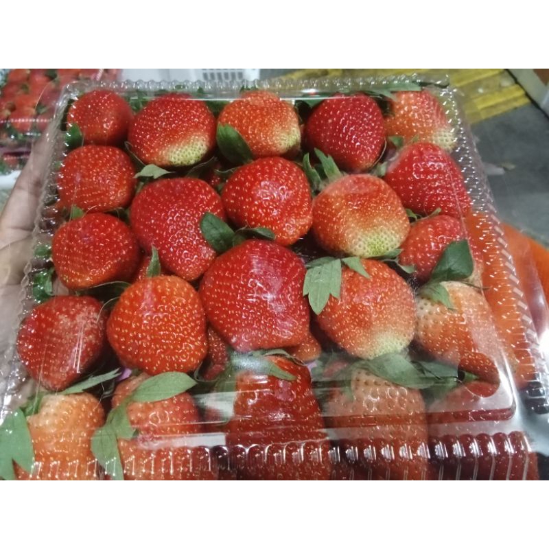 

strawberry fresh grade a premium