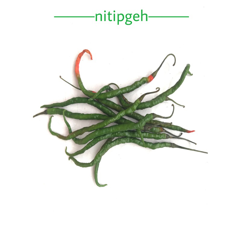 

nitipgeh Cabai Hijau Cabe ijo segar 100g