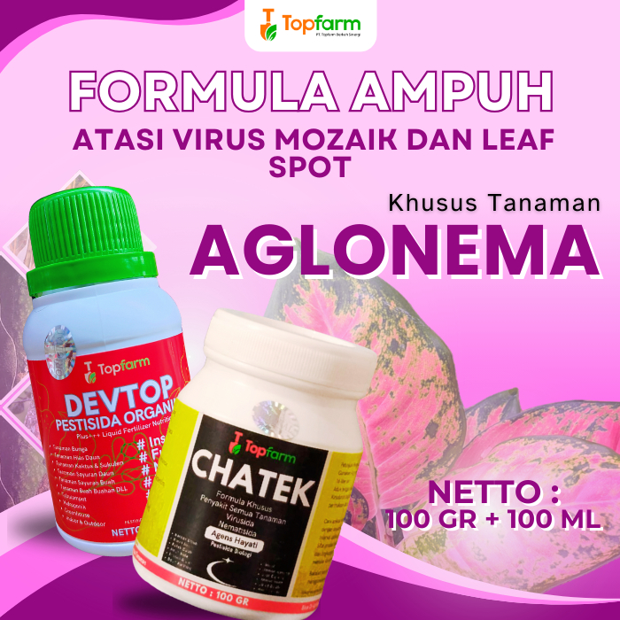 Pestisida Topfarm / Obat Hama Untuk Tanaman Bunga / Obat Hama Untuk Bunga Aglonema / Obat Hama Ulat 