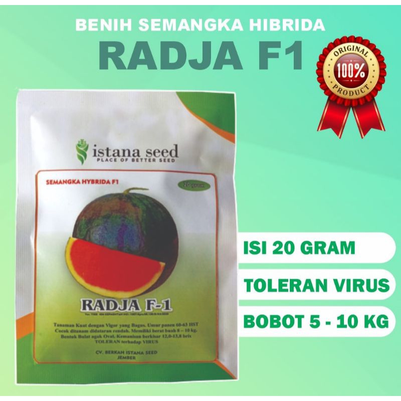 

Semangka hibrida merah non biji RADJA F1 semangka seedless dari ISTANA SEED kemasan isi 20 gram toleran terhadap VIRUS.