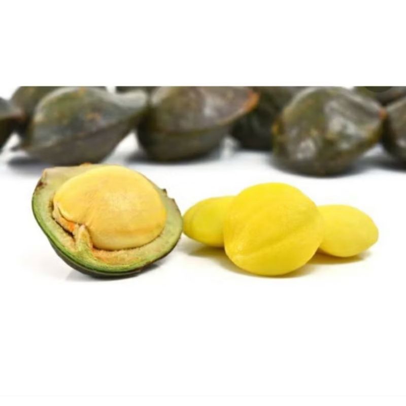 

JENGKOL MUDA Super Fress 1 Kg