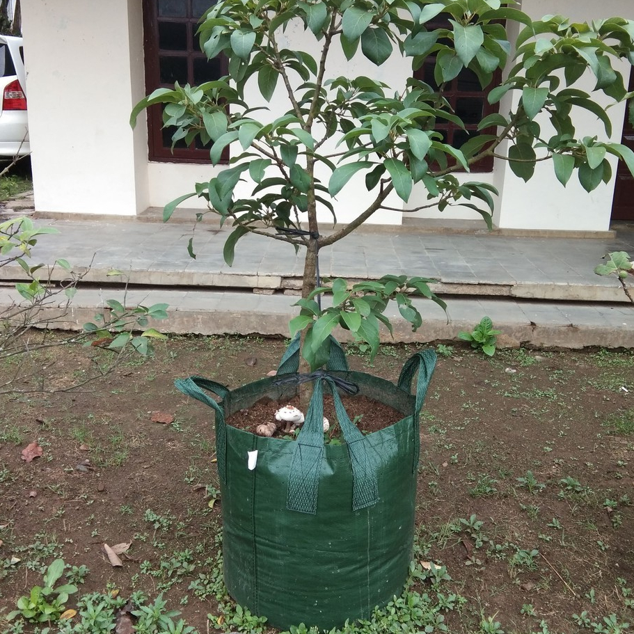 Planter Bag 150 Liter Easy Grow/Pot Planter HDPE Easygrow 150lt - PLANTER BAG - Pot Planter - Pot Be