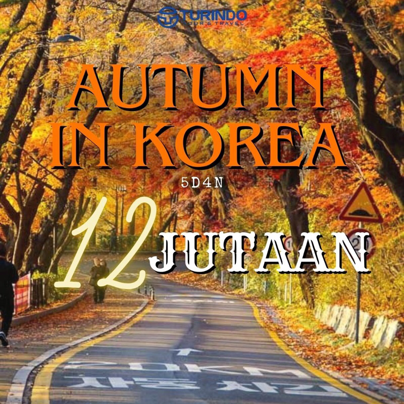 DP 05D AUTUMN IN SEOUL + RETRO KOREAN TOWN & NAMI ISLAND