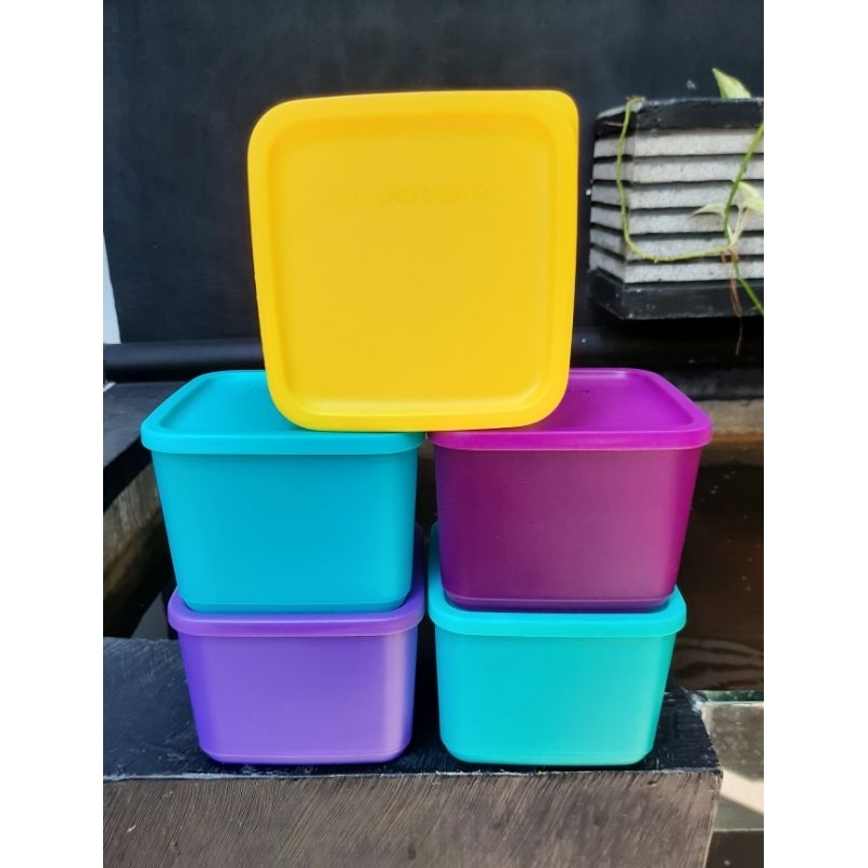 Tupperware Medium Tropical 1L