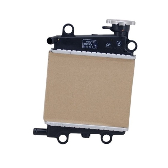Gerbang Cahaya Radiator Yamaha Nmax Old 2015