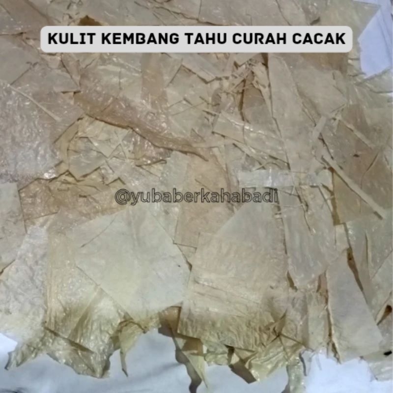 

Kulit Kembang Tahu patahan/Cacak 500 Gram Halal MUI