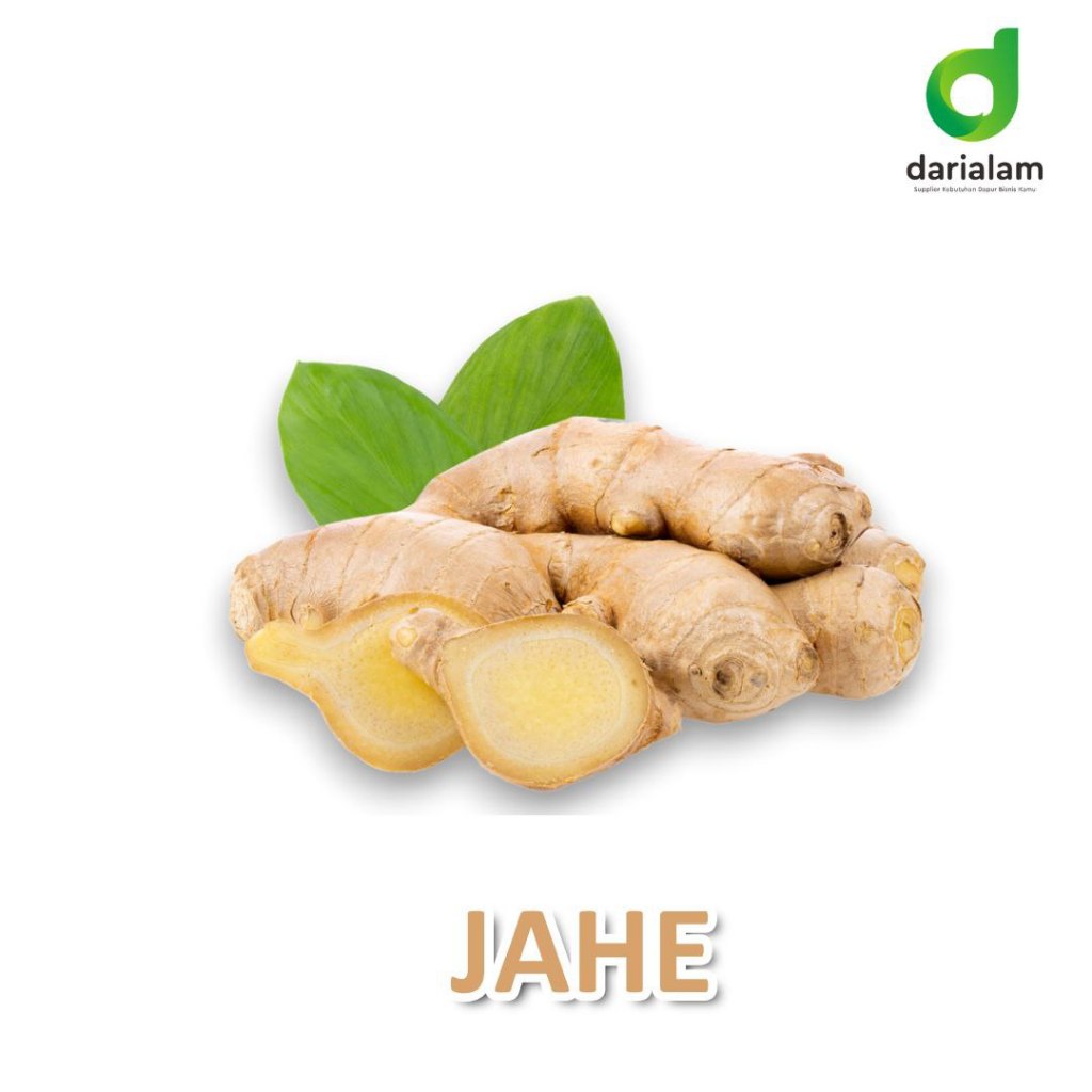 

Jahe Segar Berkualitas Tinggi – Bumbu dan Herbal Alami
