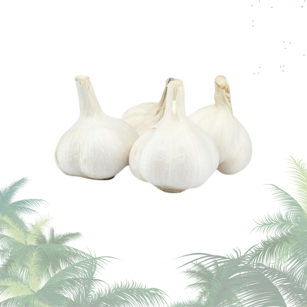 

Bawang Putih Kating Murah 1kg