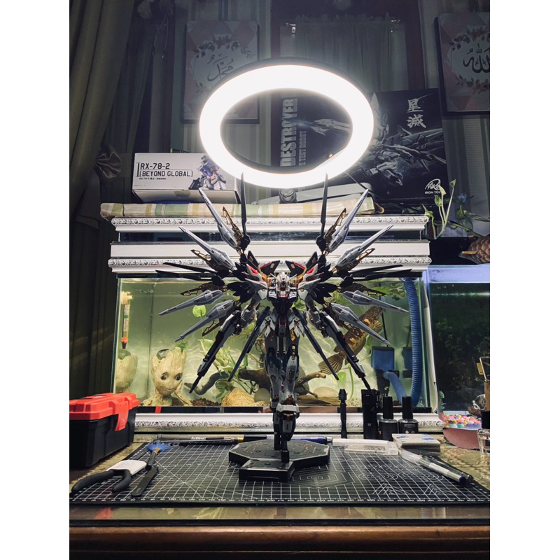 mgex strike freedom gundam snow white version limited special colour repaint full repaint custom sud