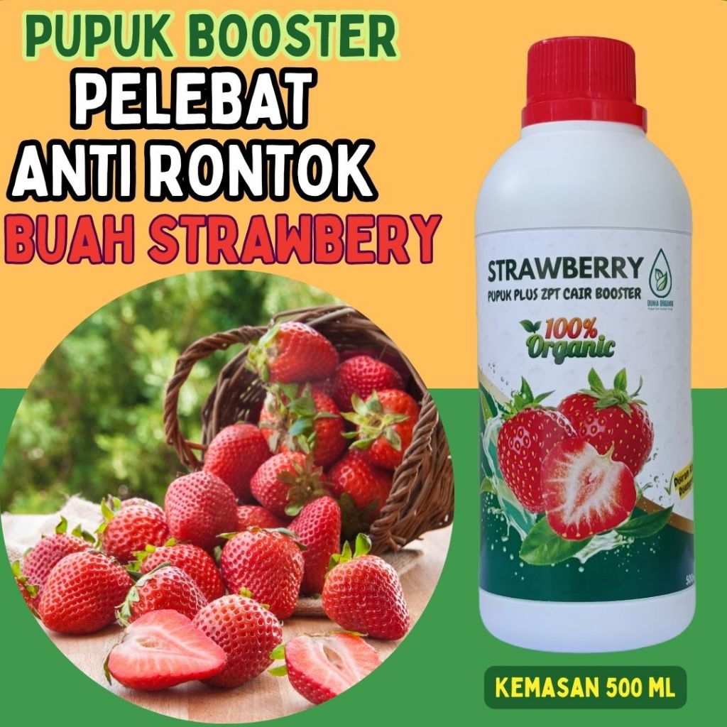 pupuk buah strawberry | Pupuk Buah lebat | Pupuk Organik Cair Penyubur Pelebat Buah strawberry