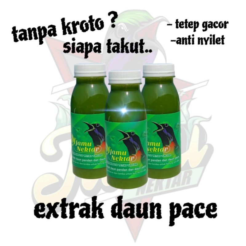 JAMU NEKTAR PAKAN BURUNG SUNBIRD/KONIN