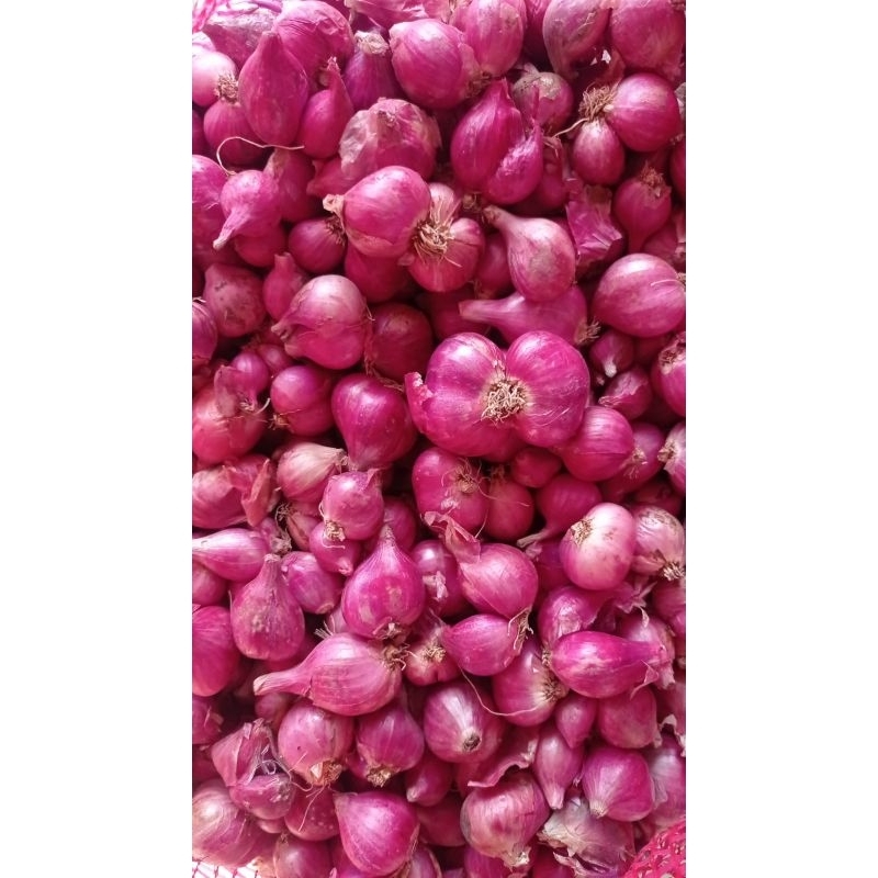 

Box Kardus Isi Bawang Merah 1kg Ukuran Besar Sedang