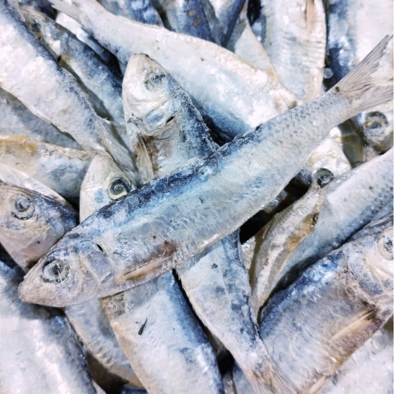 

Ikan Asin Tembang, Ikan kering COD berat 100gr-500gr