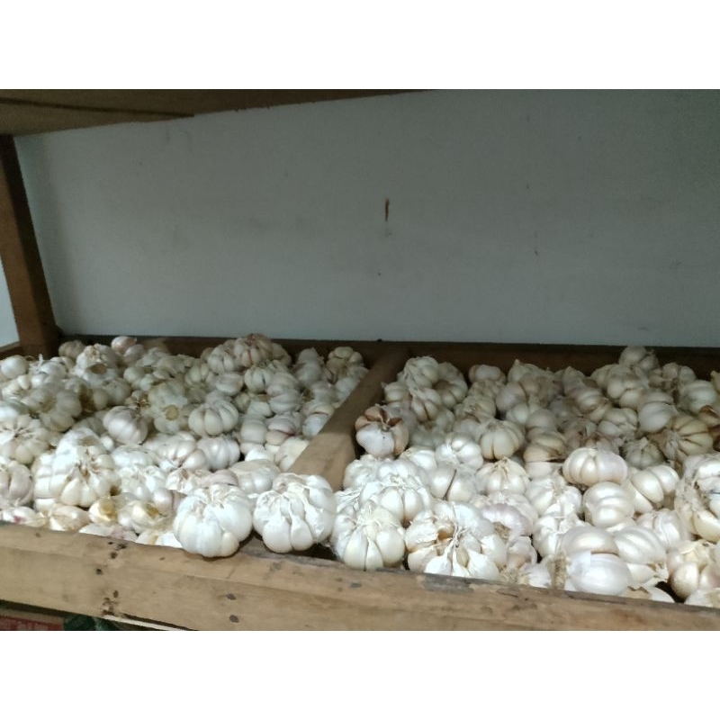 

Bawang Putih Super