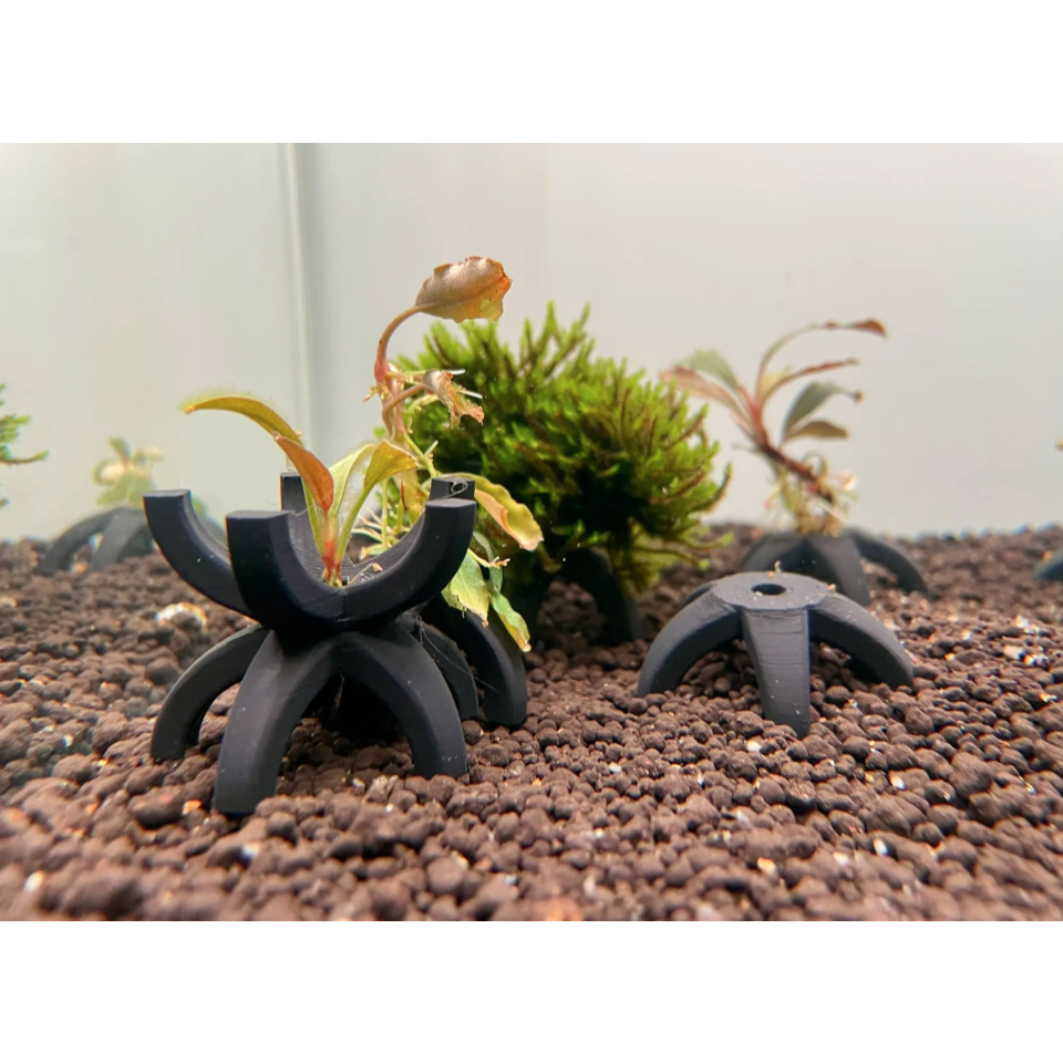 Shrimp Shelter Star Dekorasi Aquarium Udang hias