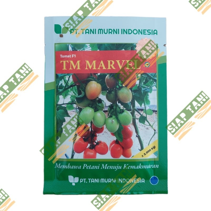 BENIH TOMAT TM MARVEL 3.000 BIJI