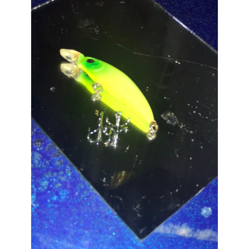 Lure Minnow 5,5 cm / 5 Gram