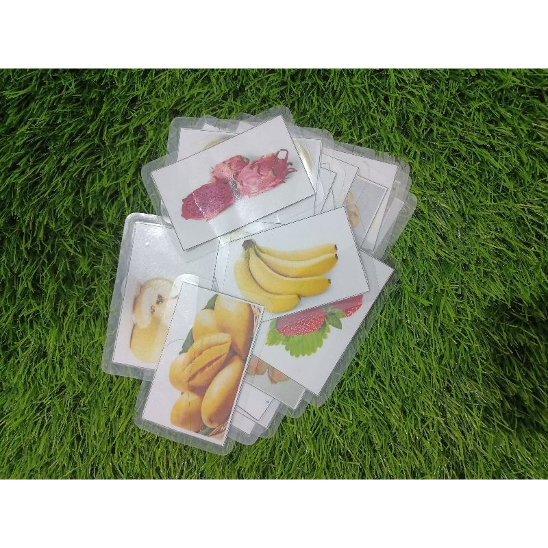 Kartu Buah /Kategori Buah/Kartu Terapi/ mengenal buah/FlasCard Buah/kartu terapi