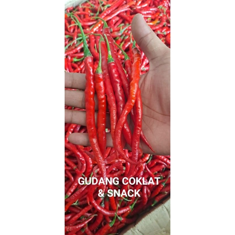 

TERMURAH!! CABE /CABAI MERAH KERITING SUPER 1KG