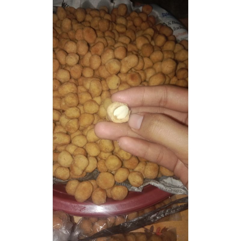 

Kacang Telur