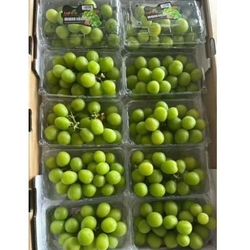 

muscat pack 500 gr