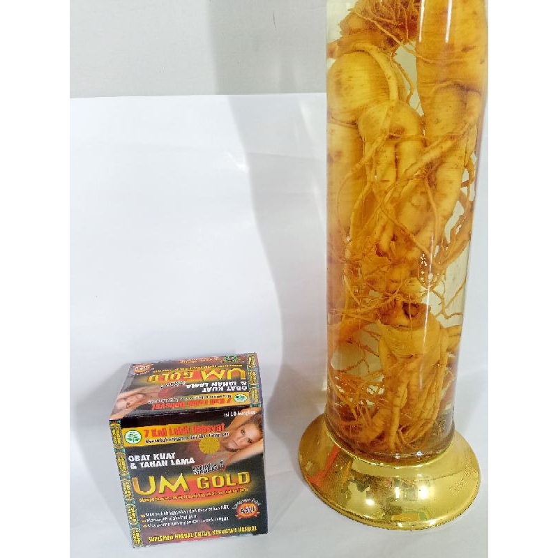 

sebuk UM GOLD ORIGINAL