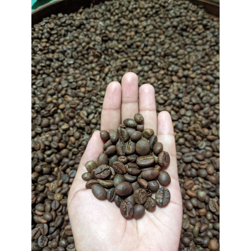

Robusta Gunung Wilis