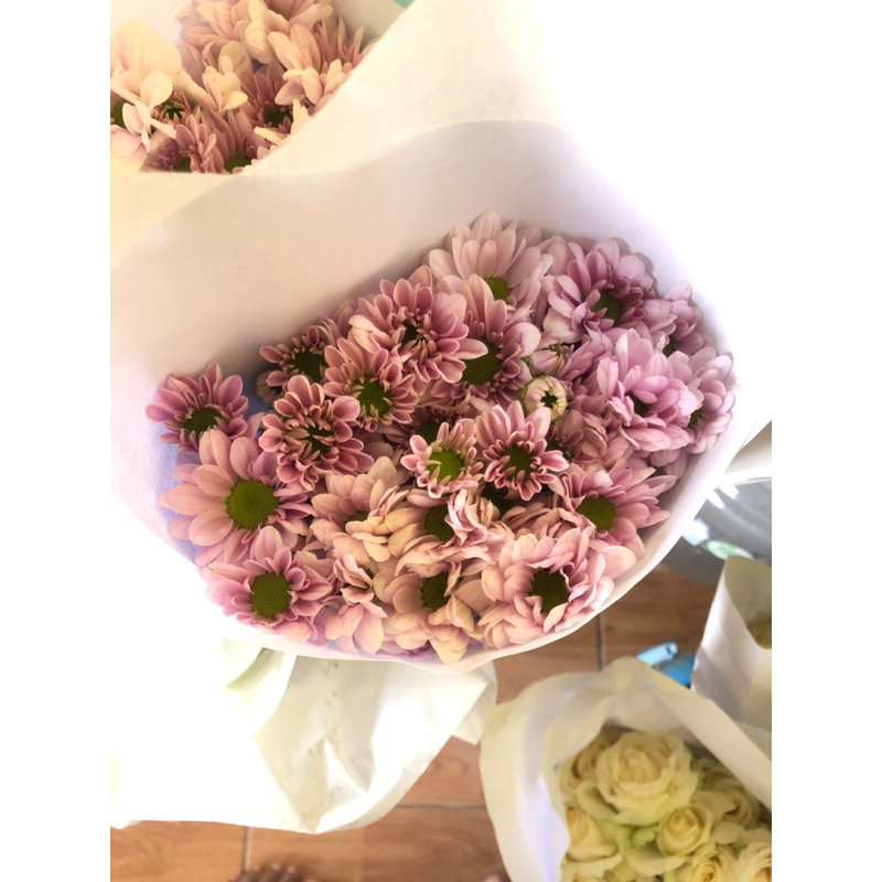 Krisan potong spray / aster (warna random)