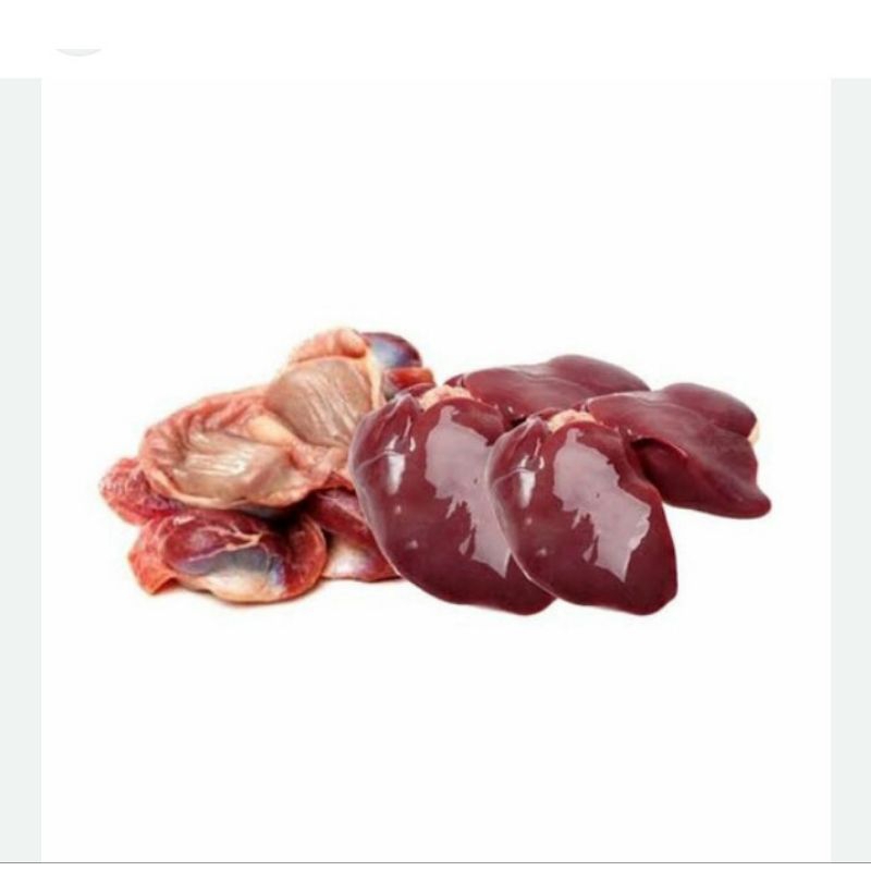 

Hati Jantung Ampela Bersih