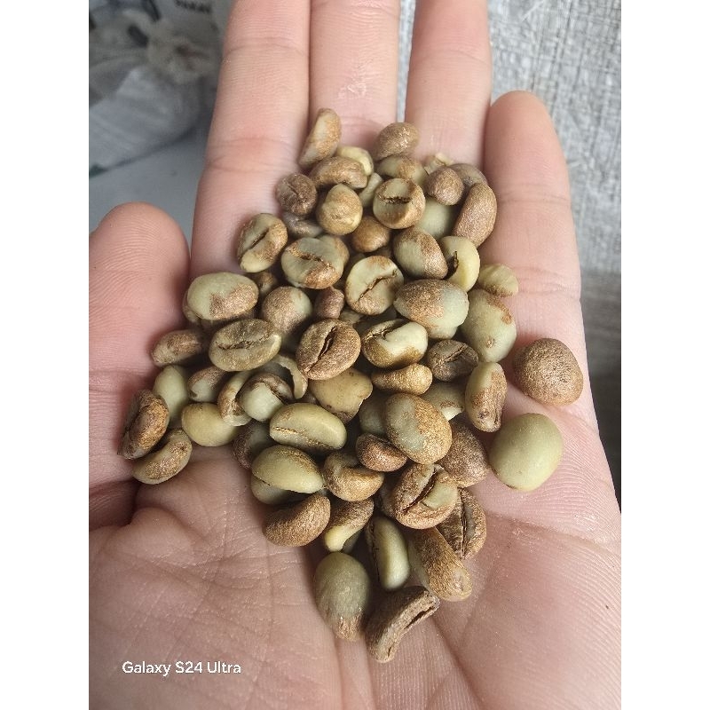 

Greenbean Robusta Anggur