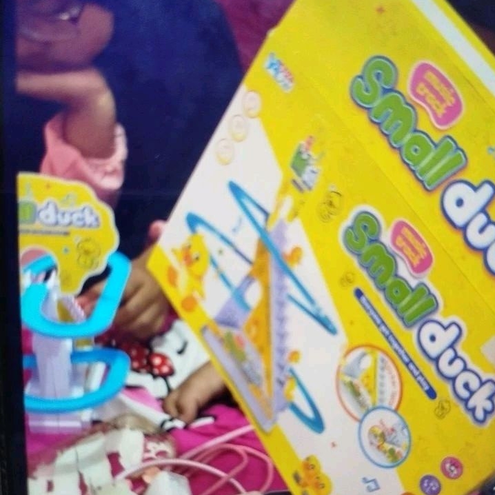 Small duck (mainan bebek)