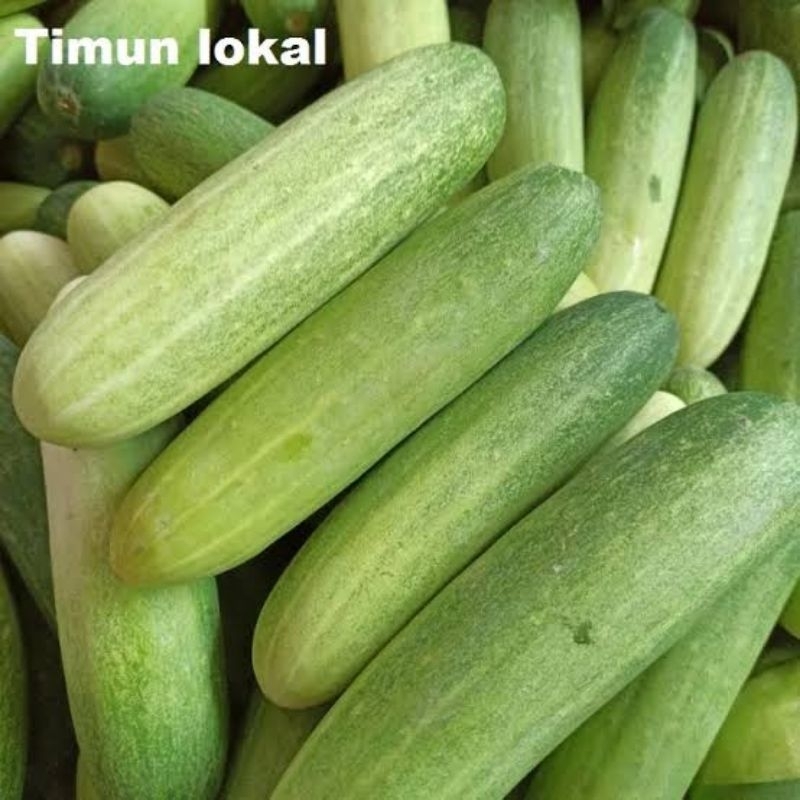 

Timun Lokal Segar 1 kg