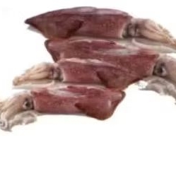 

Cumi besar segar 500gr