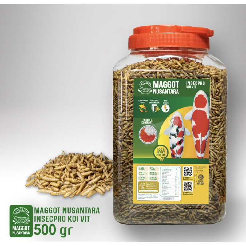 Larva maggot bsf kering, pakan koi, microwave dry bsf non limbah