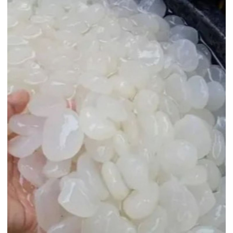 

kolang kaling muda segar tanpa bahan campuran per 1 kg