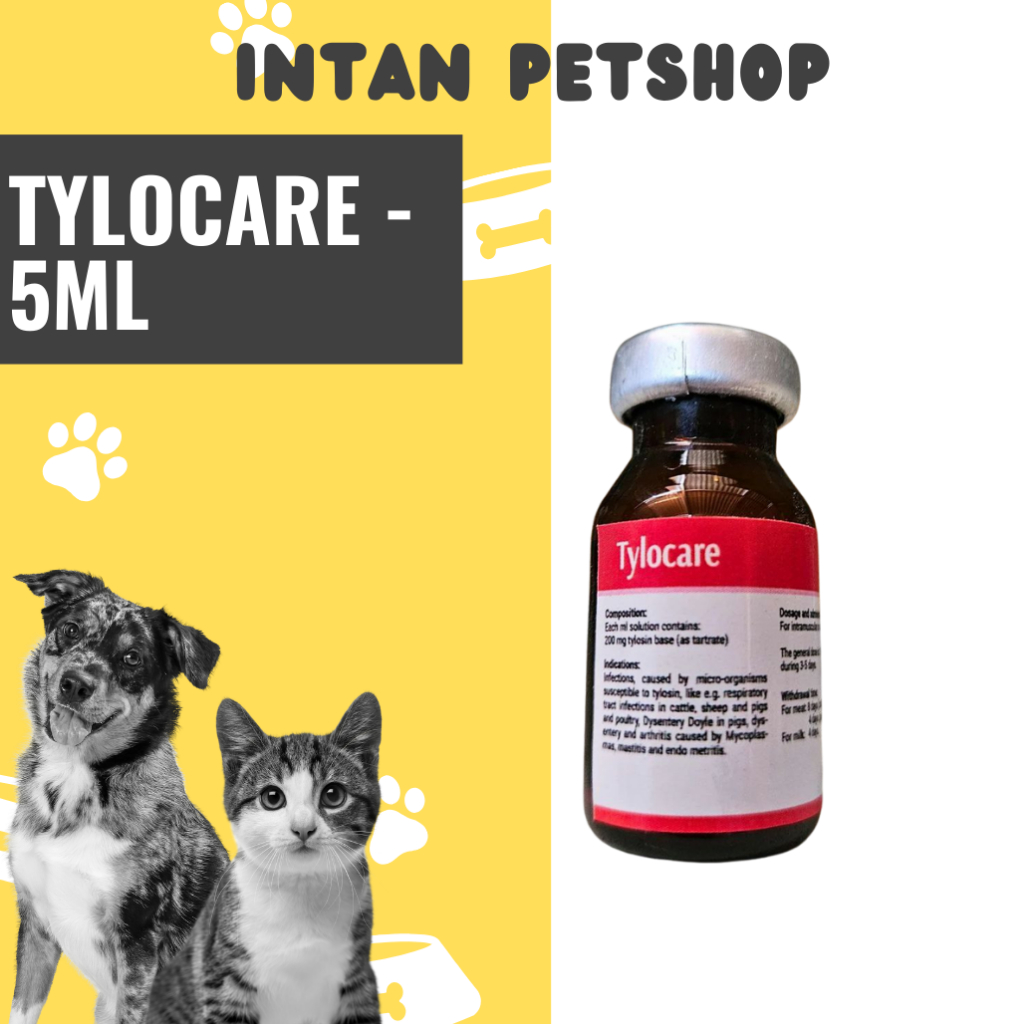 Tylocare Injeksi 5 ml - Tylosin 200 mg - Untuk Hewan Sakit PNEUMONIA