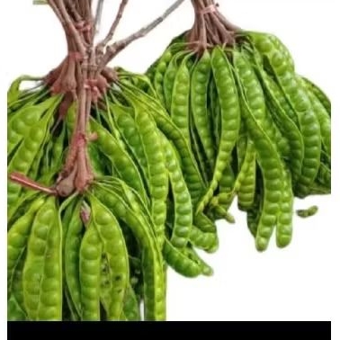

pete/petai bukan Wonogiri
