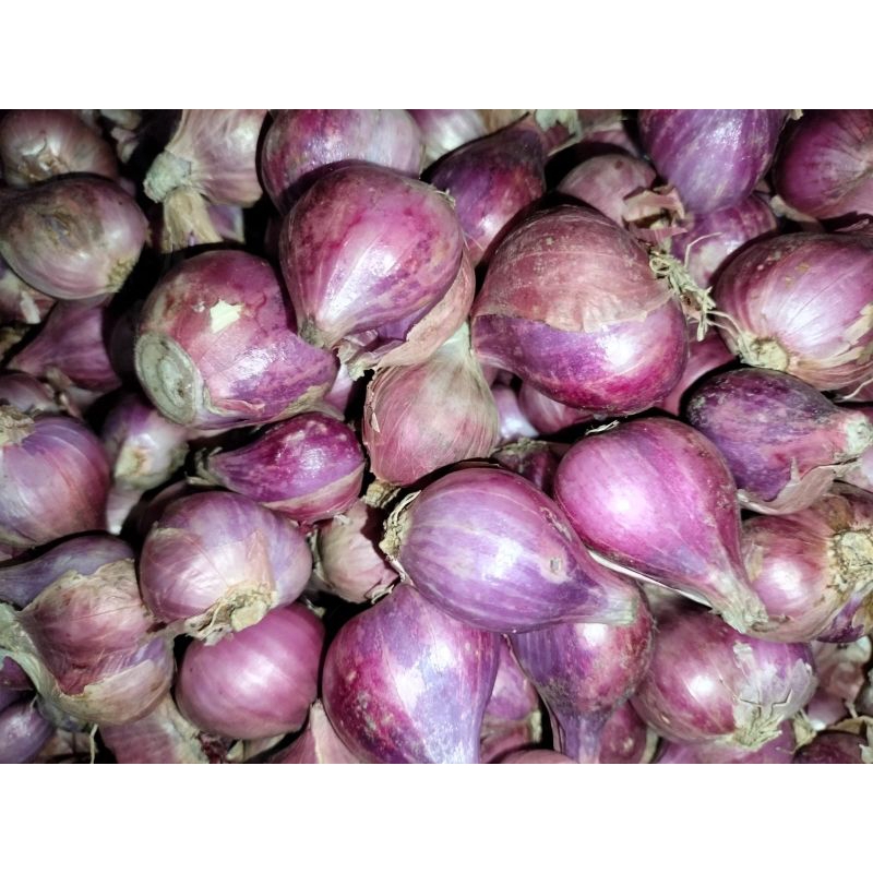 

Bawang Merah (1/2kg) Kering Brebes Asli Setengah Kilo