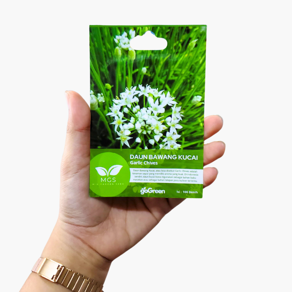 Benih Daun Kucai/Benih Garlic Chives/Daun Kucai Benih Murah