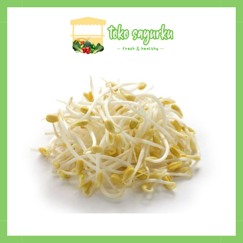 

Toge kacang hijau segar