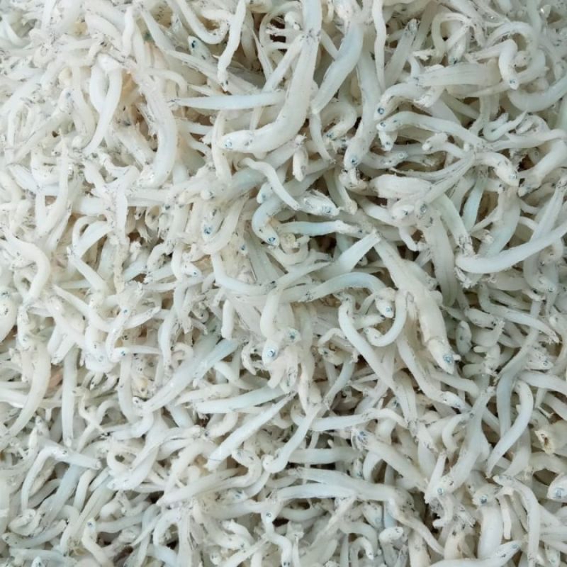 

Teri Nasi Kering Teri Berkualitas Super 250 Gram